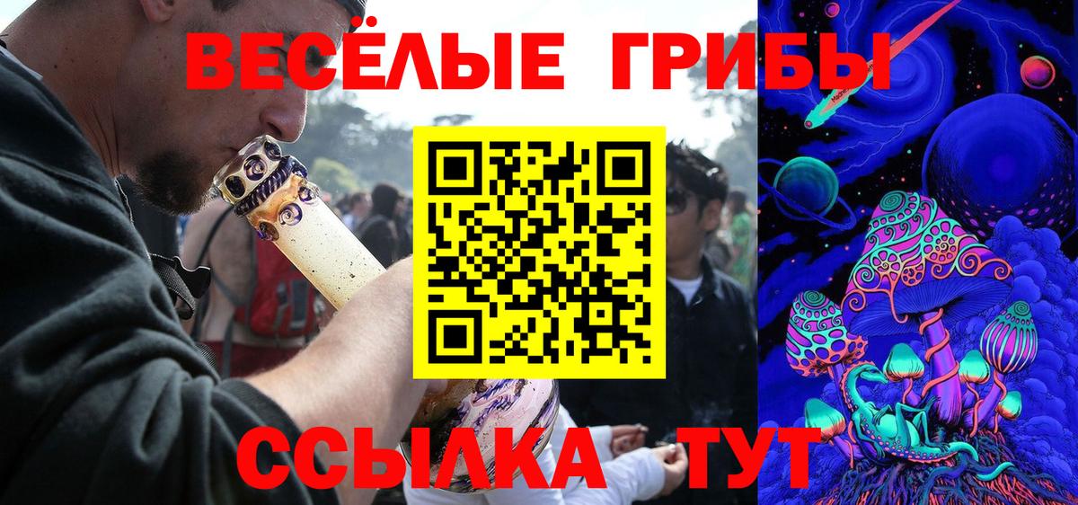 как найти закладки  Псилоцибиновые грибы Psilocybine cubensis  Вход с VPN  Соль-Илецк 
